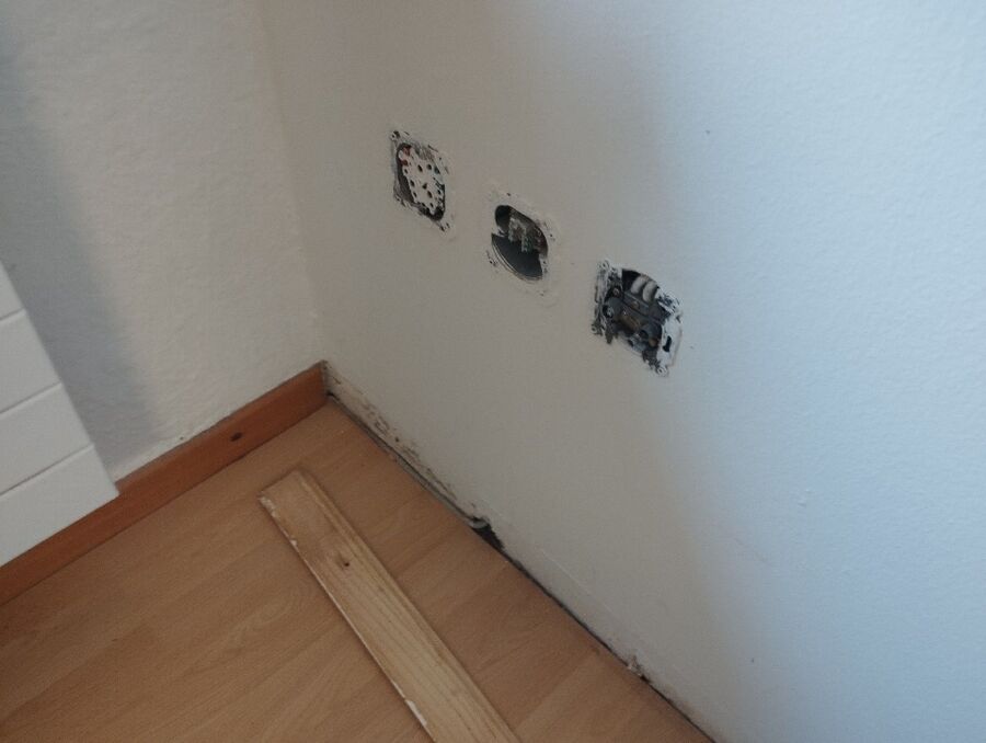 befall_schaedlinge (2)(12).jpeg